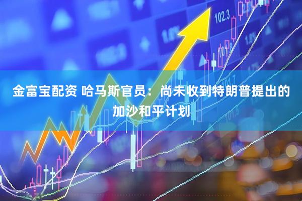 金富宝配资 哈马斯官员：尚未收到特朗普提出的加沙和平计划