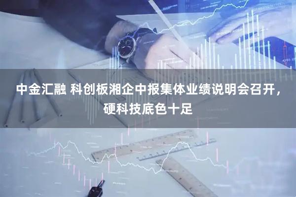 中金汇融 科创板湘企中报集体业绩说明会召开，硬科技底色十足